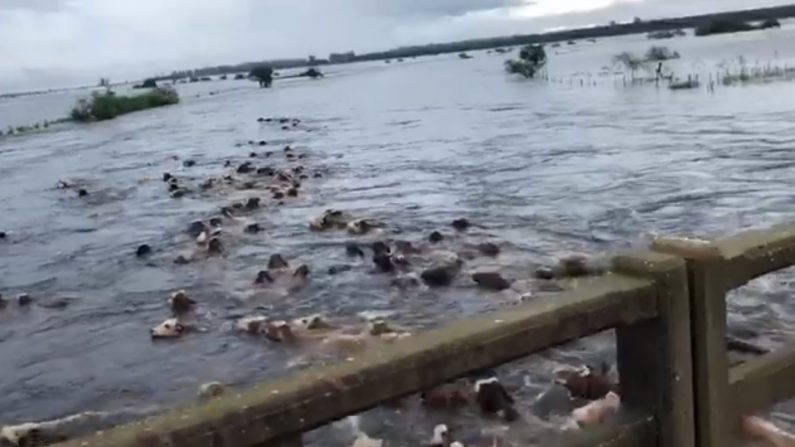 Inundaciones.