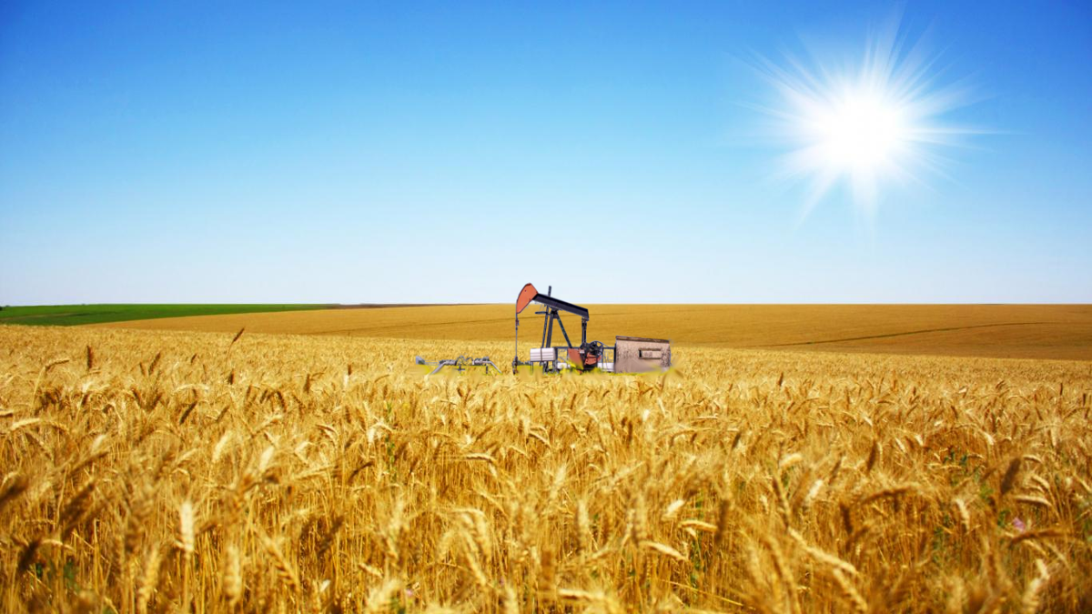 Cultivos y petróleo