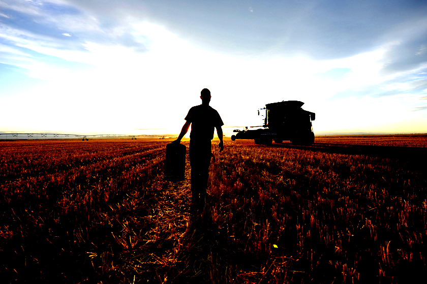 Pandemia y producción agropecuaria