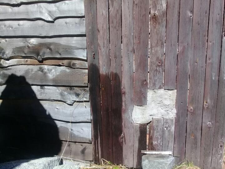 Mapuches.