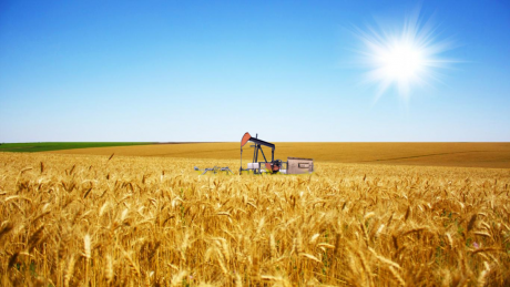 Cultivos y petróleo