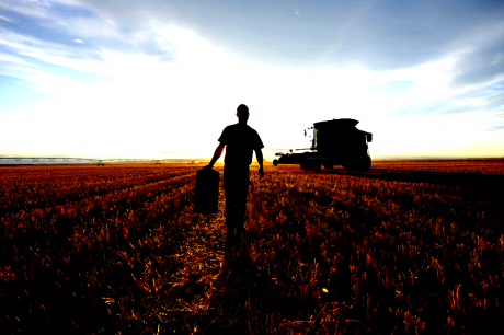 Pandemia y producción agropecuaria