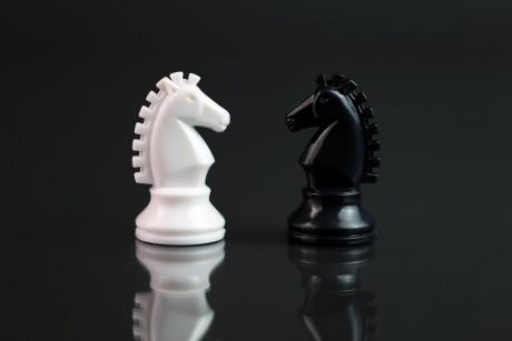 Enemigos - caballo blanco y caballo negro en tablero de ajedrez 