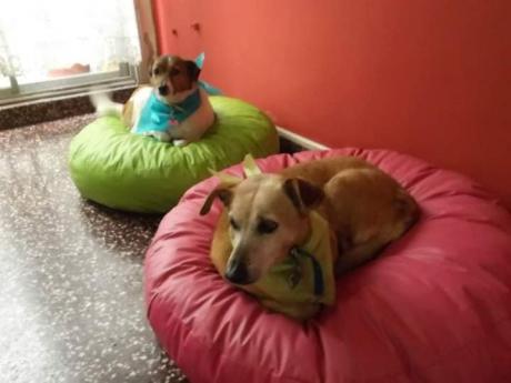 Chuky y Daysi