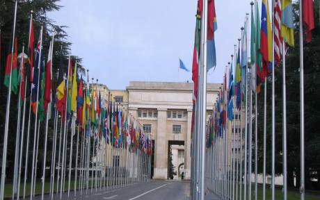 Banderas Naciones Unidas